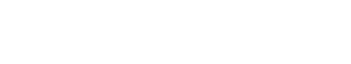 netfor-white